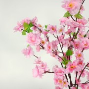 688a7e6b03f5487fbd9d9ff3c8ffbc89.jpg