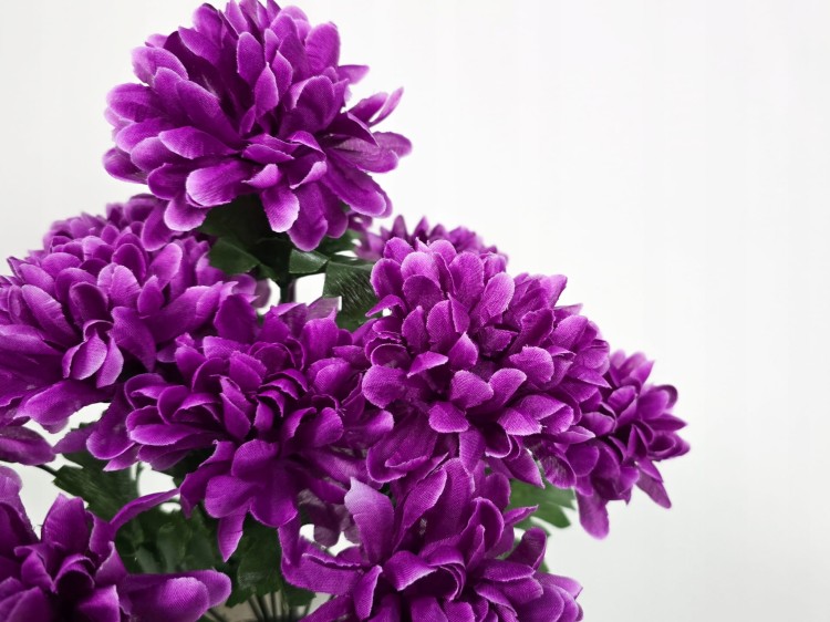 9fd8d3192480c89d6d83077b7c7756a0.jpg