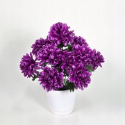 d59ad0a28d53df20e48a39a4272604d9.jpg