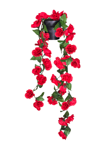 1c994afdc20cb7ec0649bd096e866a8b.png