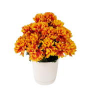 2eaa75f3b326aa86ffb013b65f44aabb.png