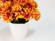 e55b7c3ccbc9b37bf03b058fdab8a751.jpg