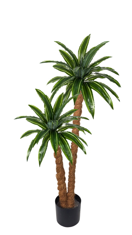 a6c6c74f3291ab1ff4369268e929aaeb.png