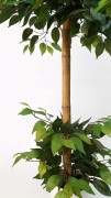 1cbfd605c571d0644c1701f7410a8cfe.jpg