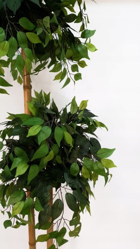 ae2856ec2cb83d86942e400cd82b92b1.jpg