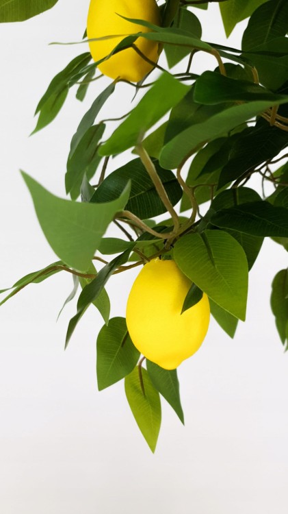 7aadeeae1367bf35d34f614783967b98.jpg