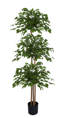 041e1c3416cb6bb4cdf0ddd6e0dfca90.png