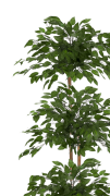 8601a9f265cf1b171f5317549fe9702a.png