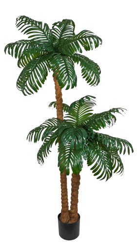 0132a39482c08a71e2f89cf9bc4fef30.png