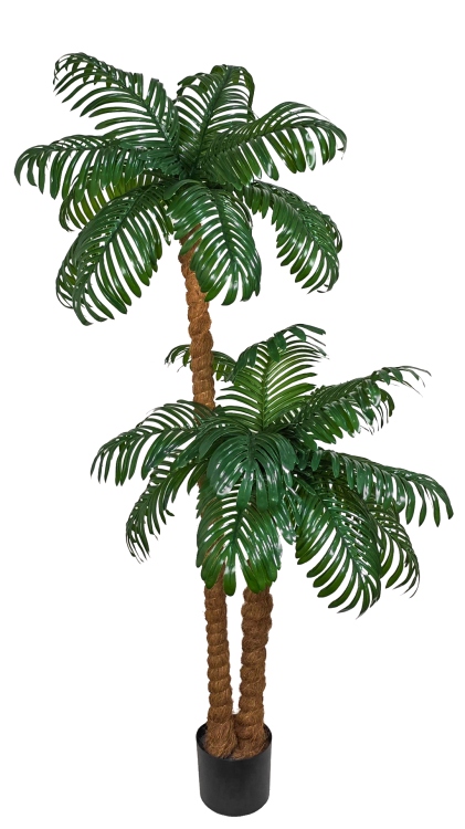 0132a39482c08a71e2f89cf9bc4fef30.png