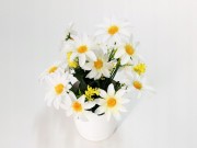 c58dd5d3df7f76eb59c01b3abca199ba.jpg