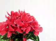 4a04f16548cdc9ee3d20cace1b752cc2.jpg