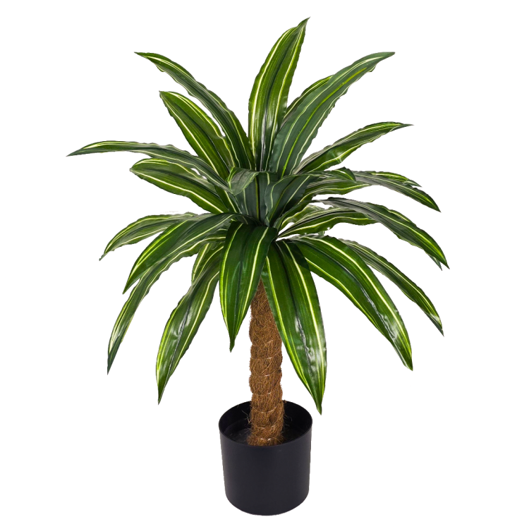 254d6fb55e100aa7d09e1c77ef857e87.png