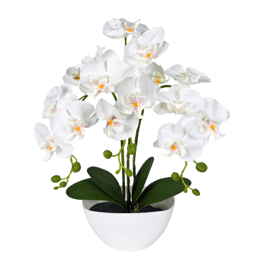 b5597bbfd94bc6c97dba8f25e8cc08bd.png