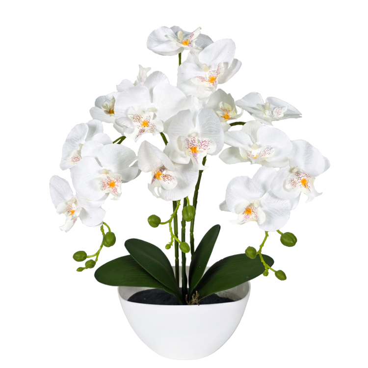 b5597bbfd94bc6c97dba8f25e8cc08bd.png