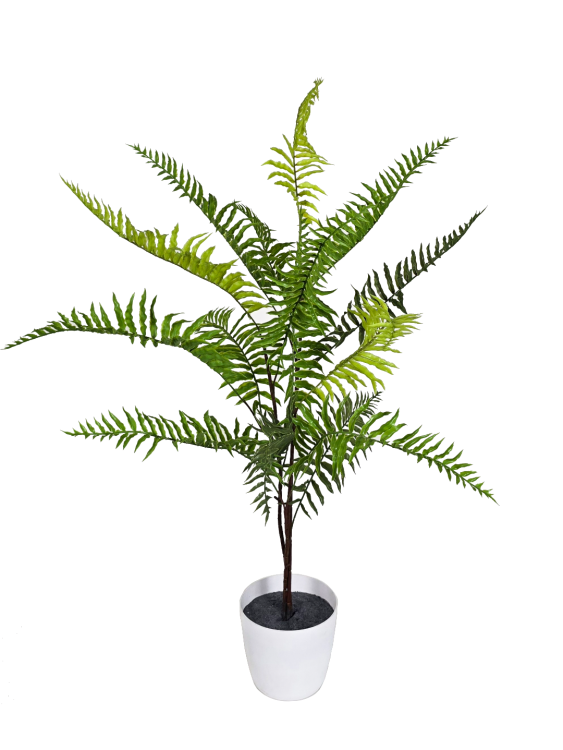 f4090cbaf60c2a5ca51700d78e0f185f.png
