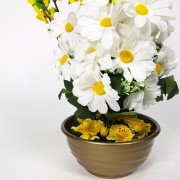 ab4538da8a79c03e7a796d501c347d02.jpg